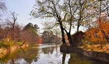 关于思念江南的秋的句子