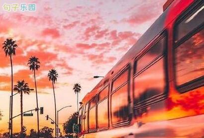 你总是说那一年的桃花很棒