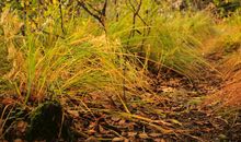 有关工作感悟句子