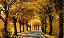 高三英语励志口号