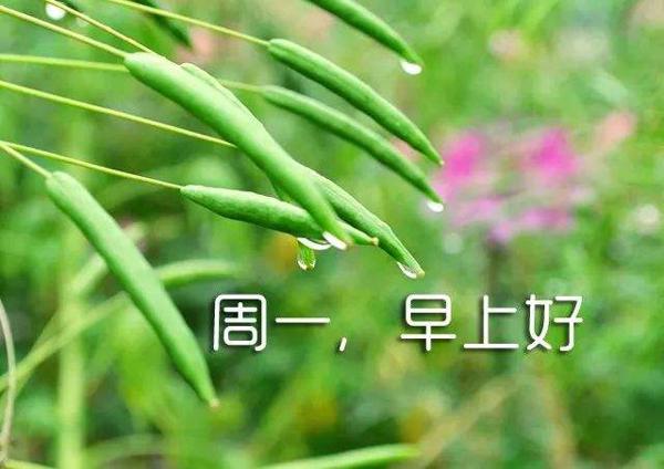 岁月就像一条河