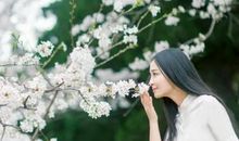 很现实的经典句子：哪有什么选择恐惧症，还不是因为穷