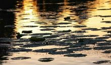 形容春雨绵绵的句子 最新描写春雨的佳句