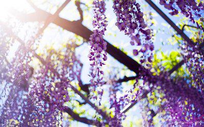 在遇到合适的人之前