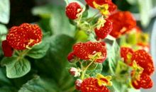 每日经典十句话之道德篇