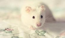 能让人狂赞的说说开心 点赞率最高的说说搞笑