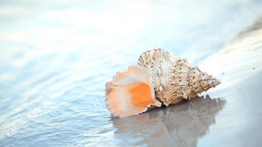 请欣赏编辑所表达的关于表达您所爱的人的句子