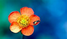 不要吃野生动物的说说 杜绝吃野生动物的说说