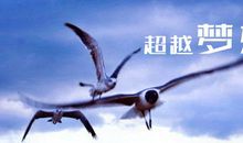 八个字的励志口号