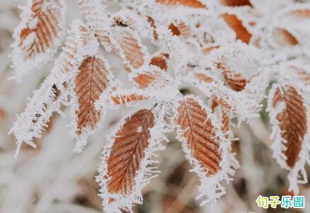 一阵雪下得很厉害