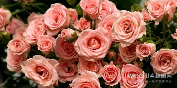 您是世界上最快乐的人