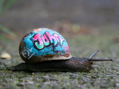 无论背部如何变幻