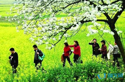 春季是旅行的好天气