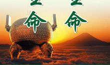 质量安全文明标语