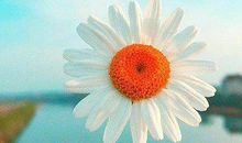 拼搏励志个性签名 奋斗拼搏个性签名