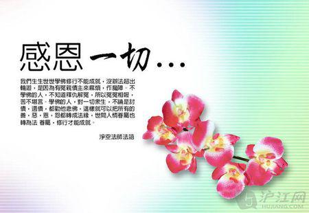 感谢领导人的长期关心和宽容