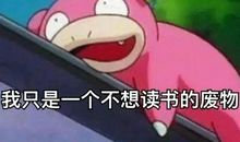 过着猪一样的生活说说 天天除了吃就是睡的说说