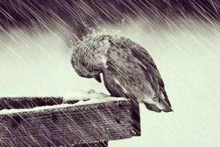 我认为人们的脆弱性和力量超出了他们的想象