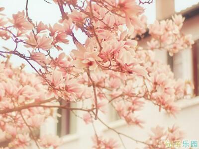 世界上唯一被岁月摧残的是人才