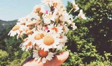 阳光向上的正能量说说