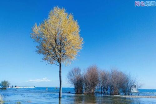 不要谈论背后的人