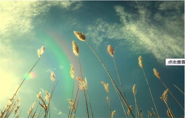 世界上失去了多少女孩