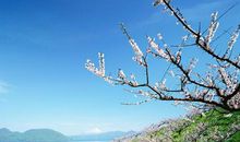 感悟心碎的句子