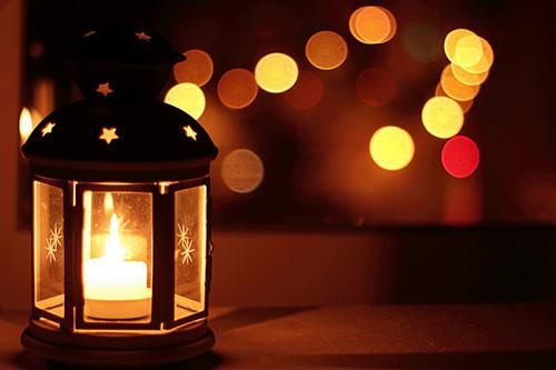 独自一人看着栅栏