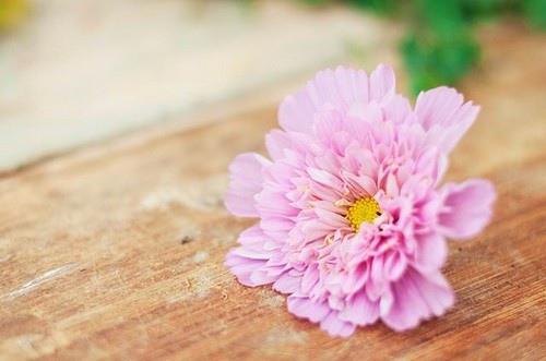 我希望尽快克服这一流行病