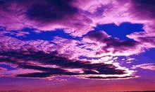 任志强经典语录