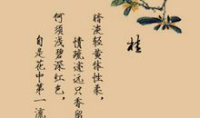 古风句子古韵遗风傲骨