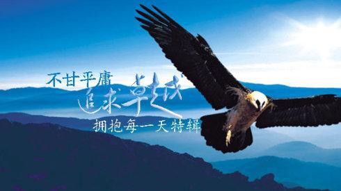 也不必为自己的平庸而感叹