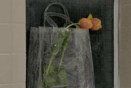 我从不睡在枕头上