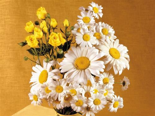 小编整理了一些关于幸福的感性句子