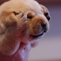 有很多有趣的句子