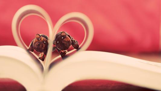 我将以我的行动向您展示