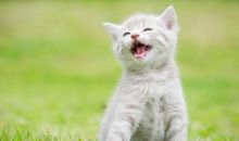 能逗女孩子笑的笑话