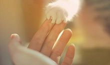 情人背叛我心酸的句子