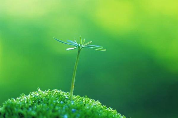 生活还有很长的路要走