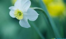 人生最经典一句话