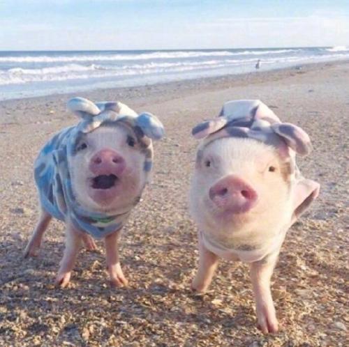 在每个闹钟旁边