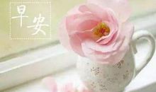 温馨幽默早安问候短信