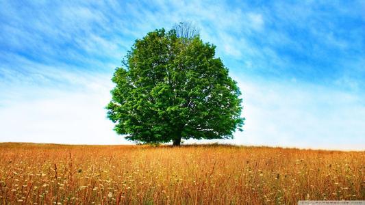 如何结交朋友的句子  1