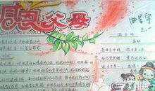 感恩父母的句子在手抄报中