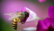 时间真的能治愈一切说说