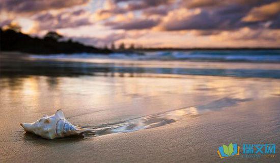 摘自句子1的摘录  1