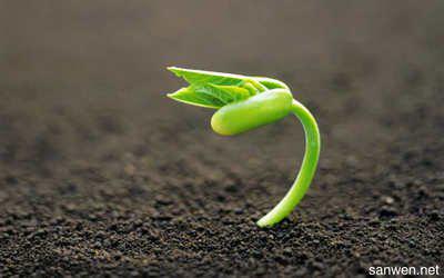 谦卑的爱并不便宜