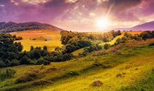 感冒心烦的句子说说心情