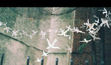 越来越没有存在感的说说