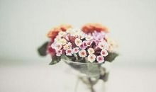 关于自己生日的说说 生日致自己的说说